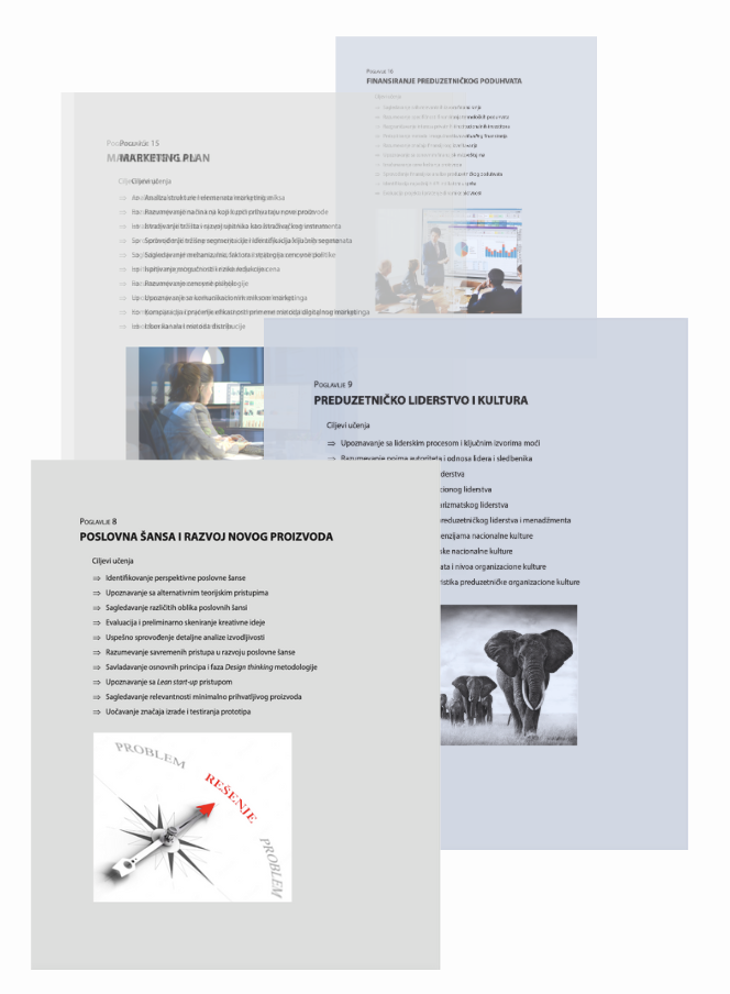 Primeri naslova poglavlja, knjiga Preduzetništvo