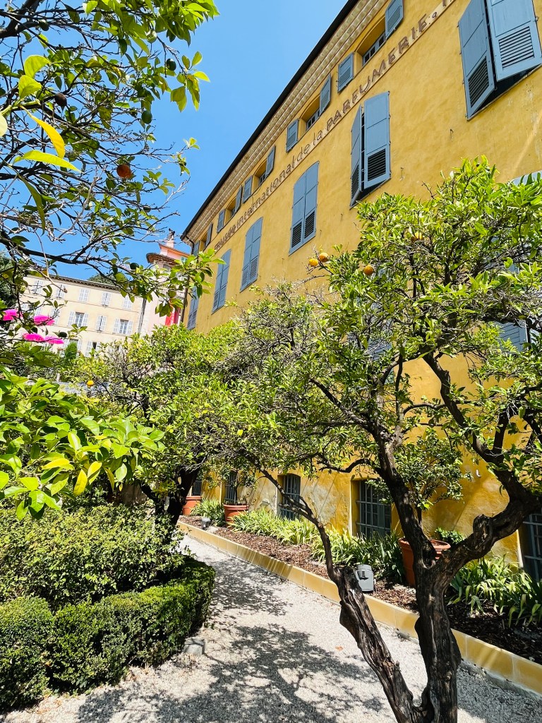 Gras, Francuska, ispred muzeja parfema maslina i zuta zgrada